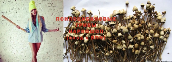 спайс Нягань