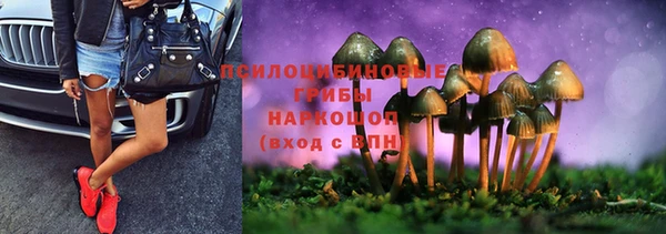 МДПВ Абаза