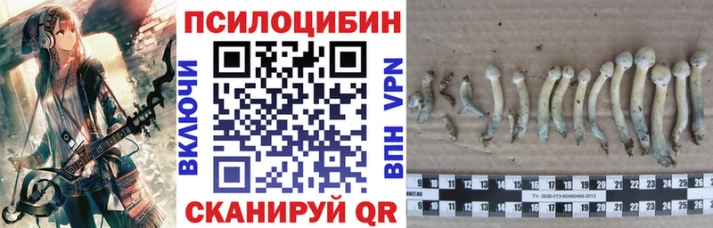 ОМГ ОМГ онион Чегем Галлюциногенные грибы мицелий