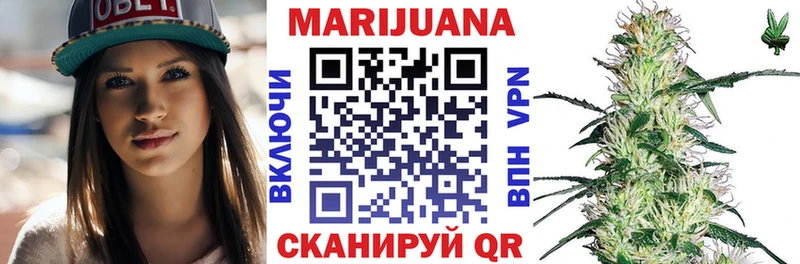Канабис конопля  Чегем 